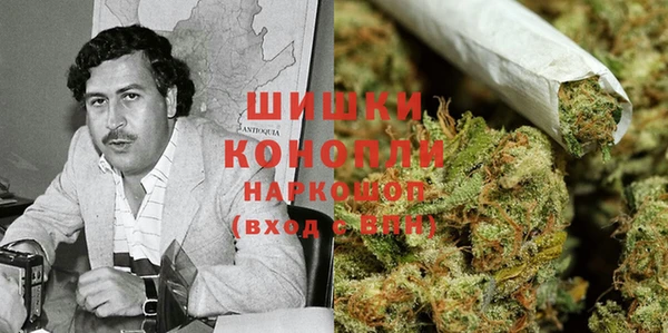 МДПВ Богородицк