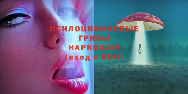 МДПВ Богородицк
