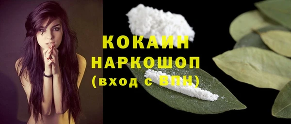 a pvp Богданович
