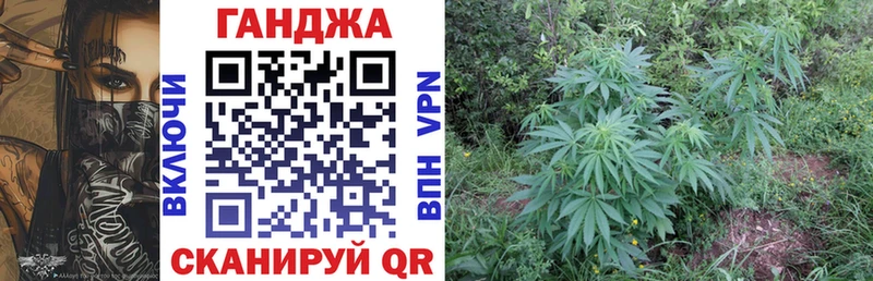 Бошки Шишки конопля Туймазы